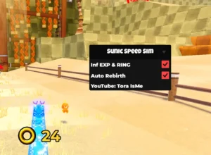 Sonic Speed Simulator