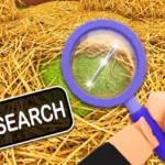 Search For The Needle Instant Find! Script – Keyless, Instant Find, Auto Farm